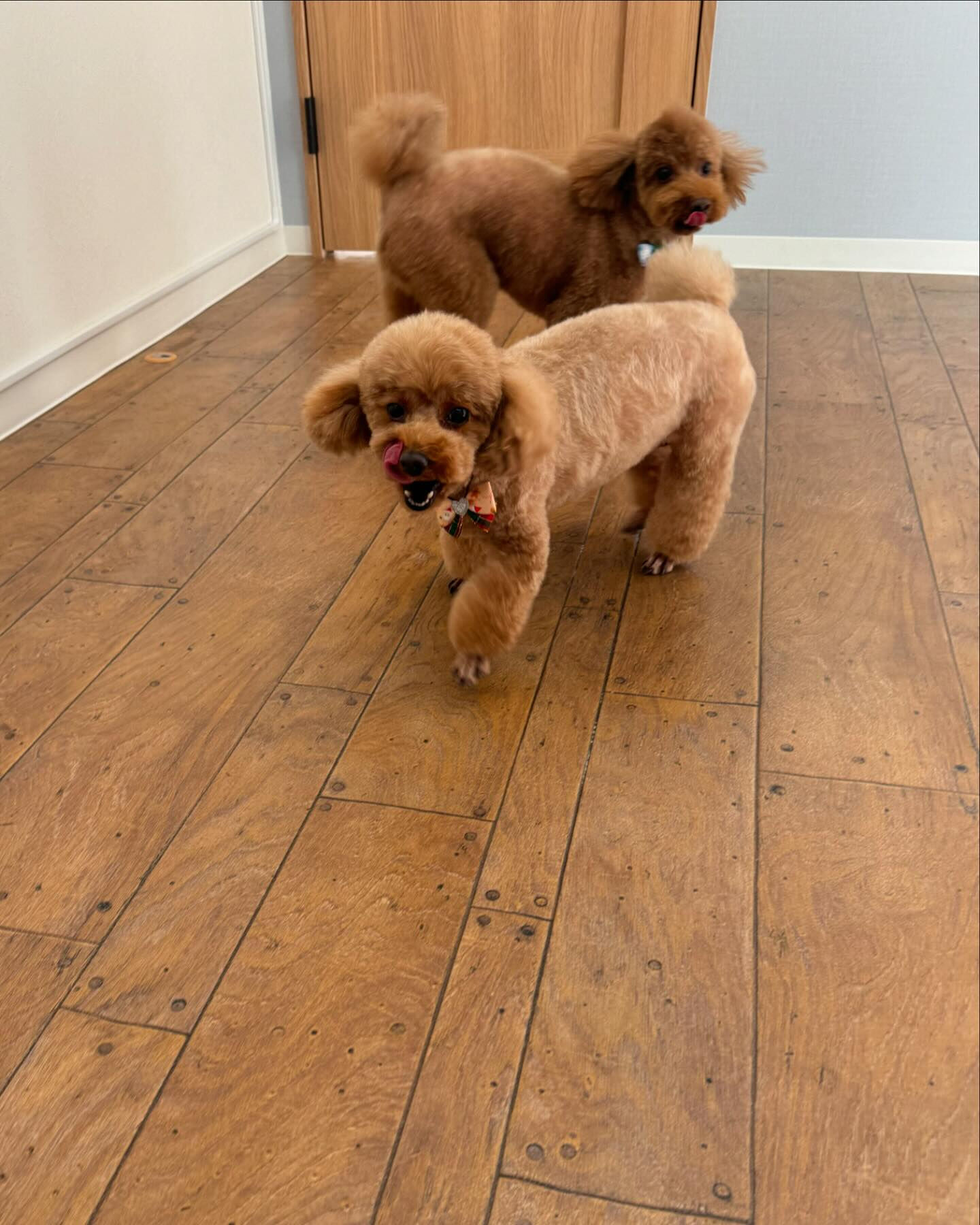 ご来店ありがとうございます✨