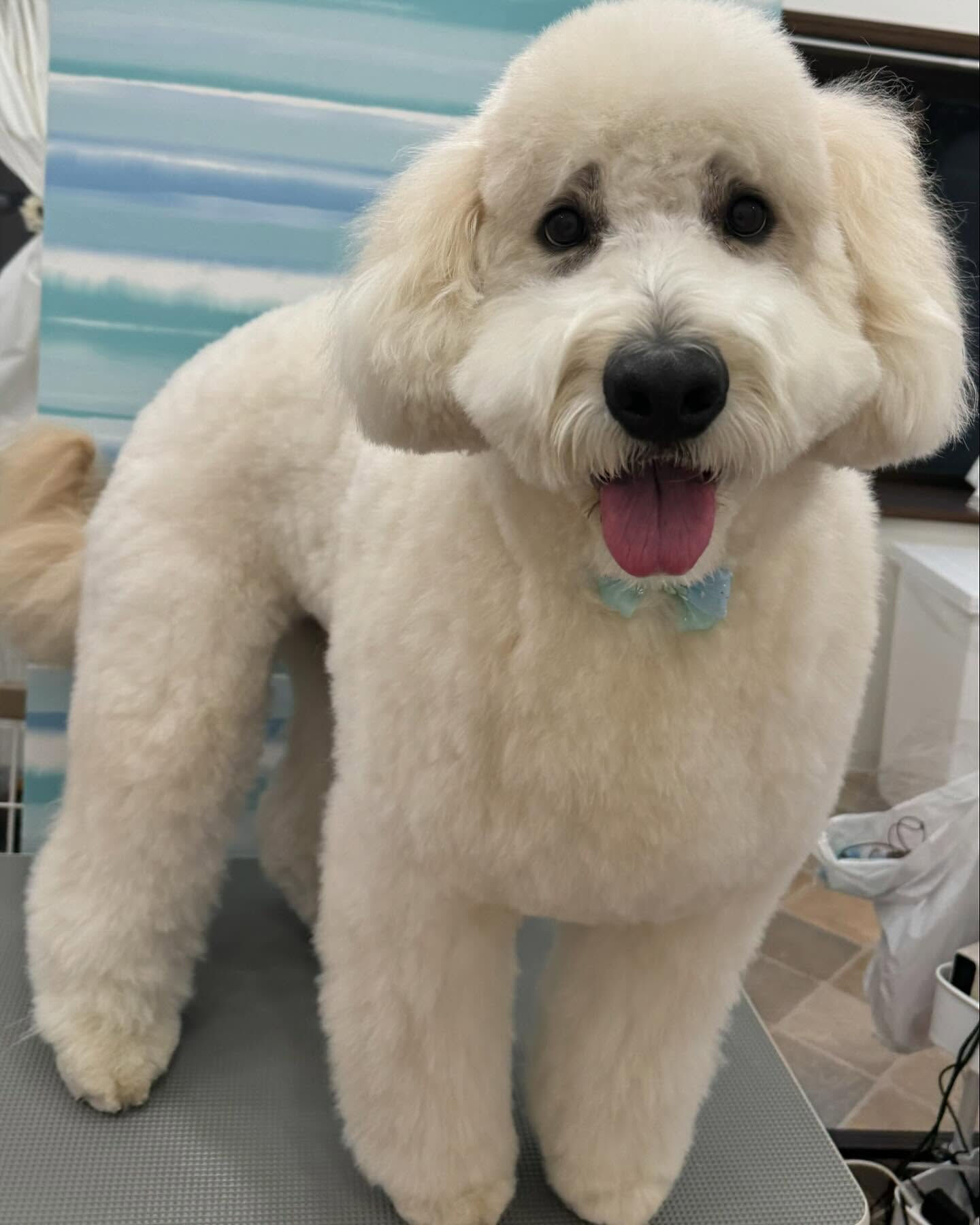 ご来店ありがとうございます✨