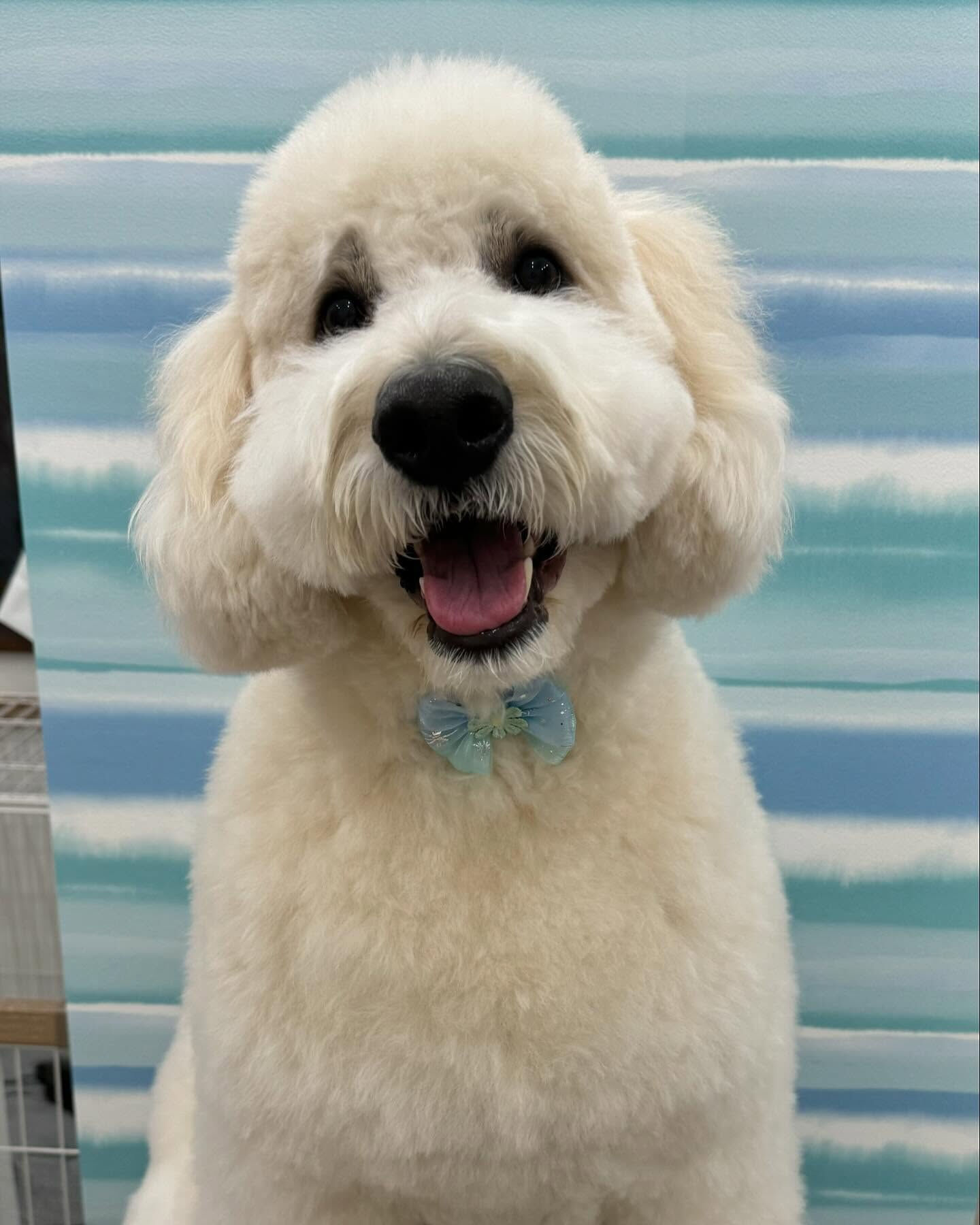 ご来店ありがとうございます✨