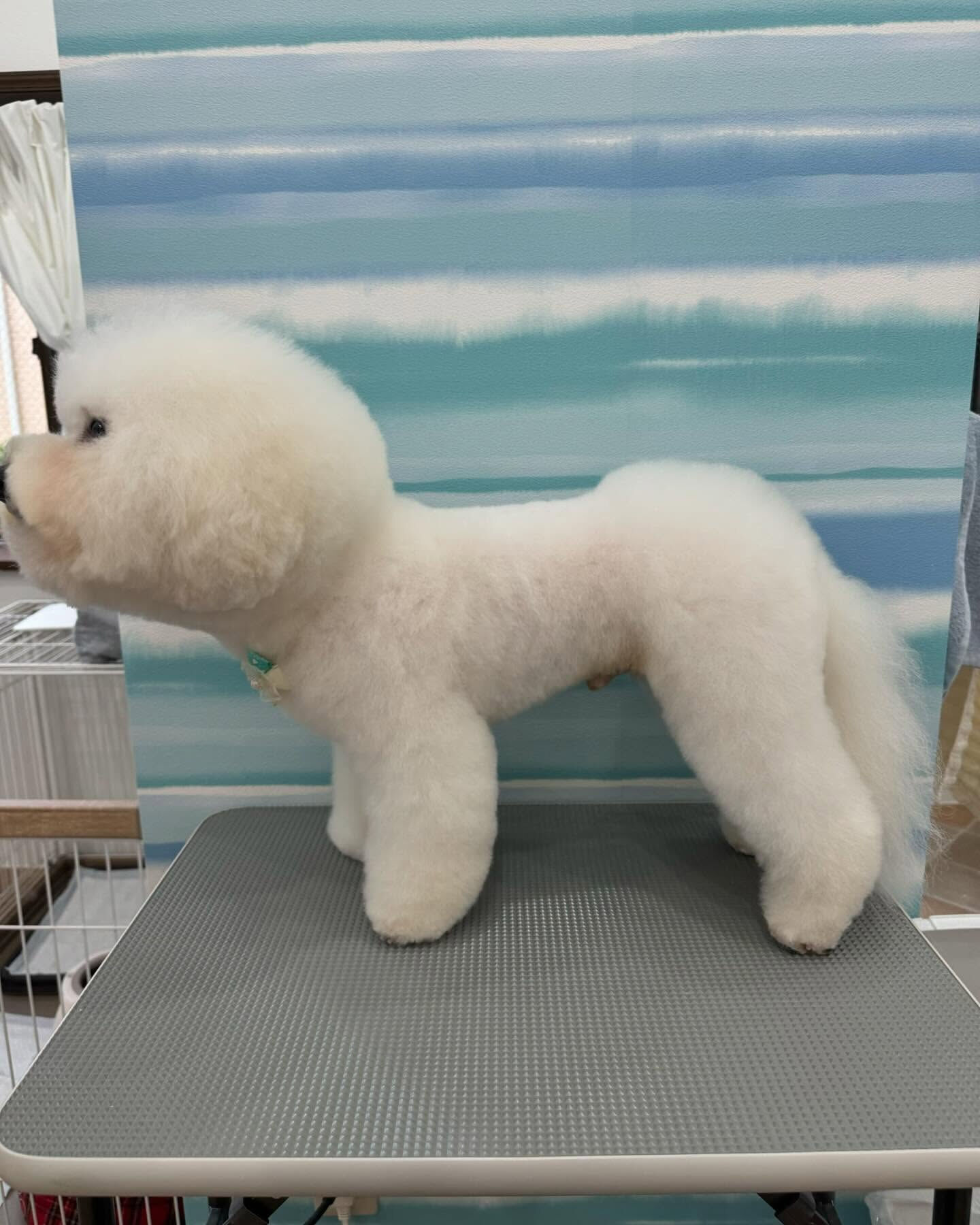 ご来店ありがとうございます✨