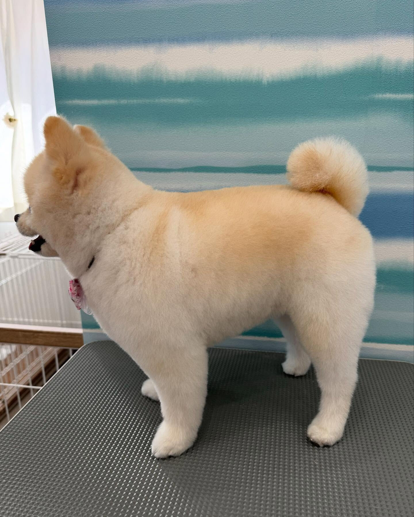 ご来店ありがとうございます✨