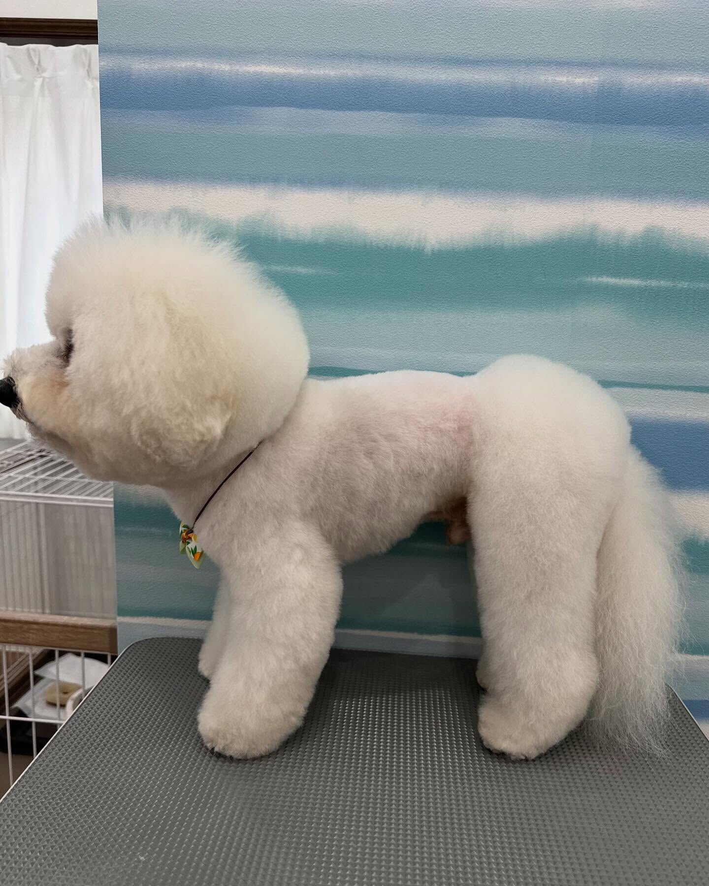 ご来店ありがとうございます✨