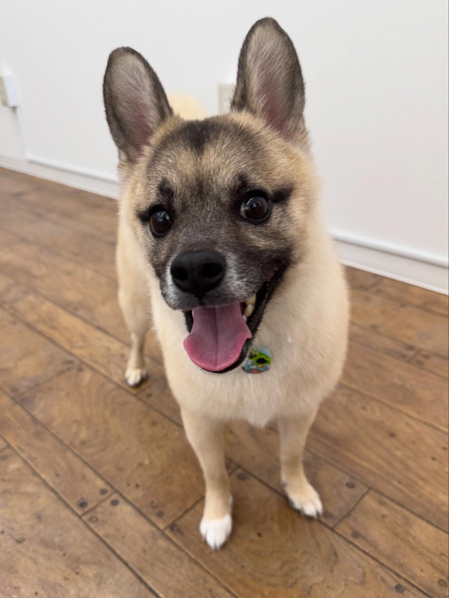 ご来店ありがとうございます✨