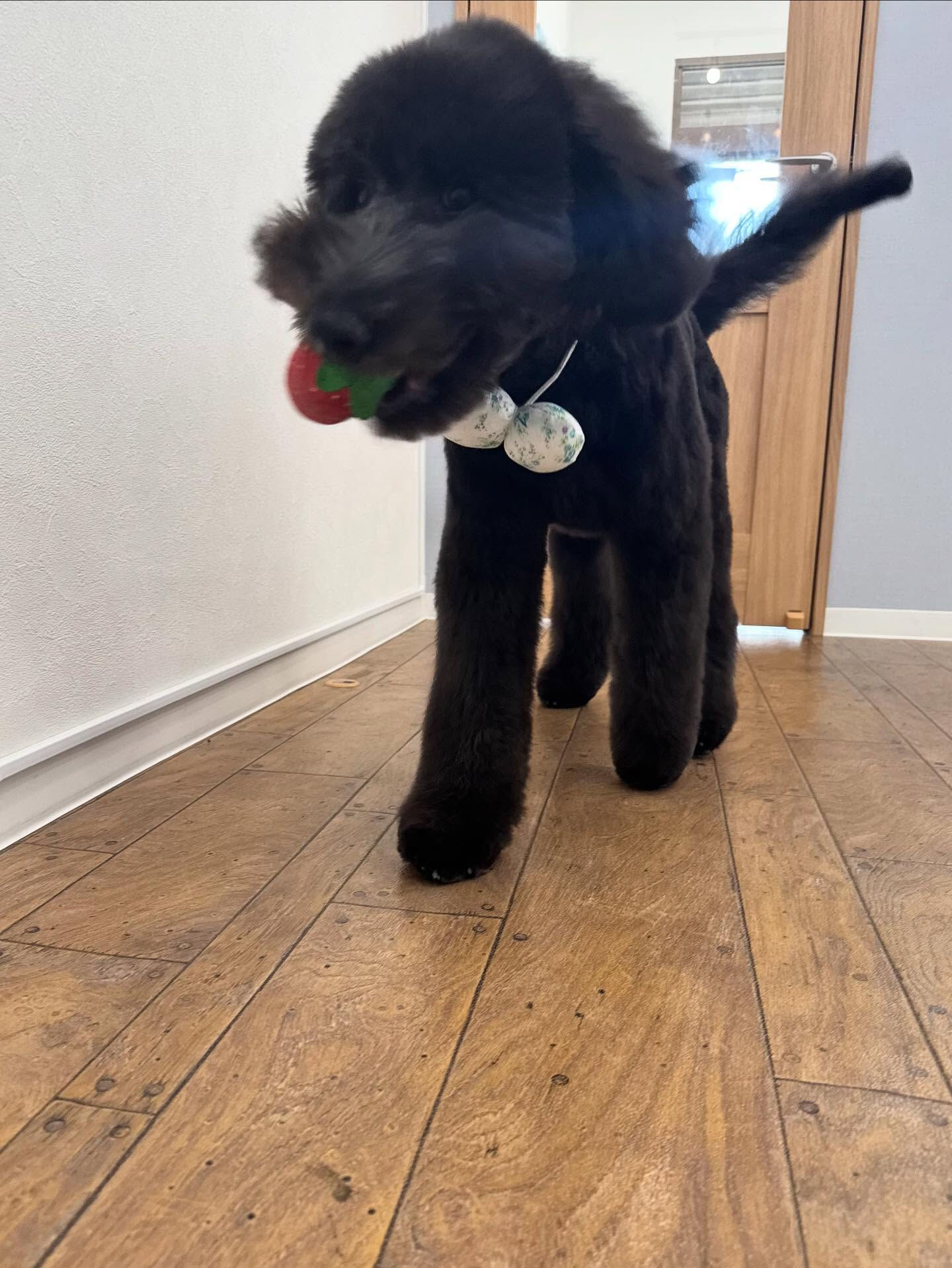 ご来店ありがとうございます✨