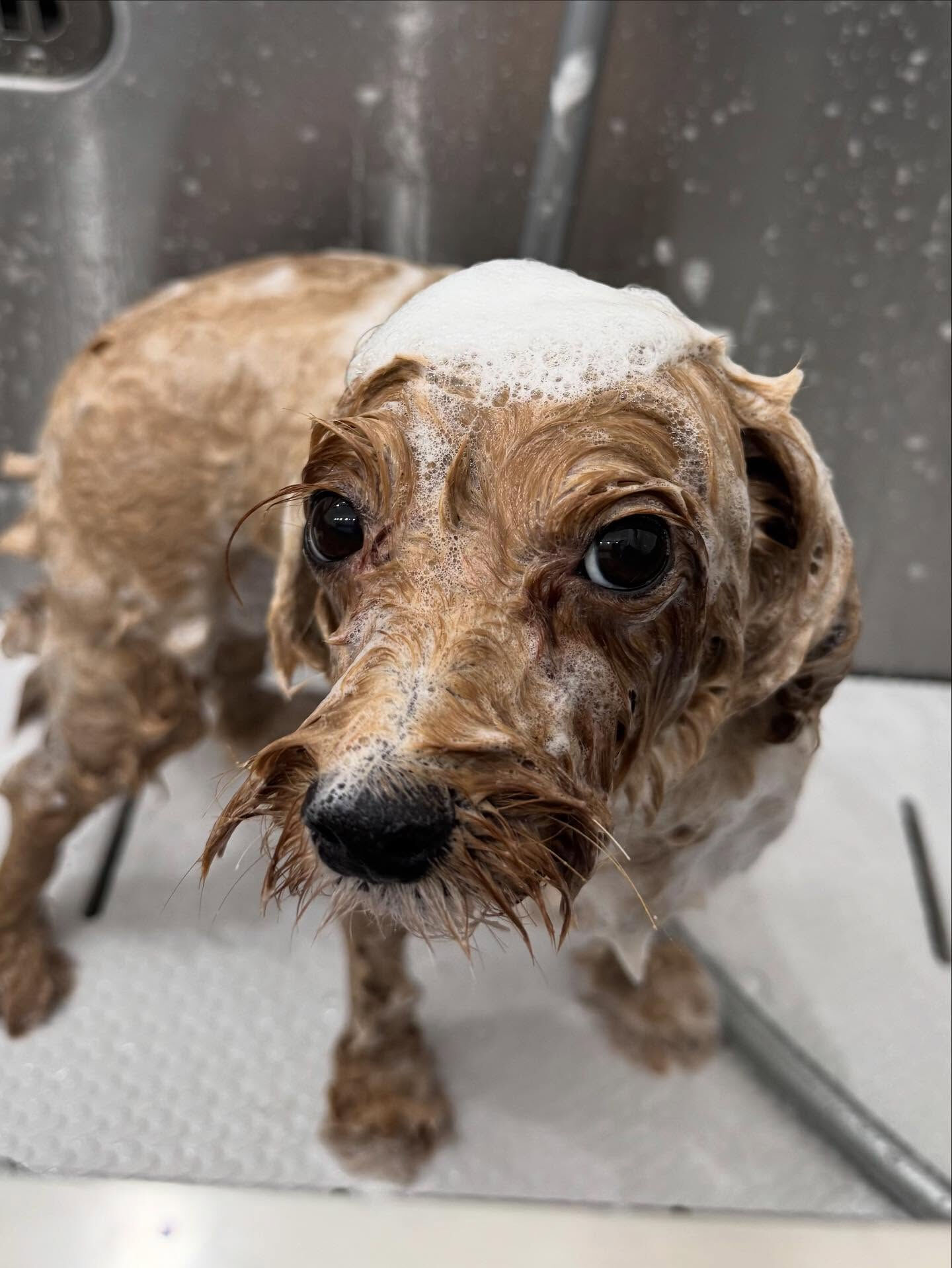 ご来店ありがとうございます✨