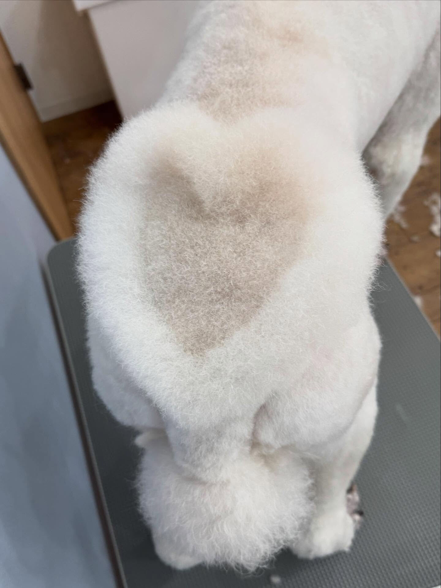 ご来店ありがとうございます✨