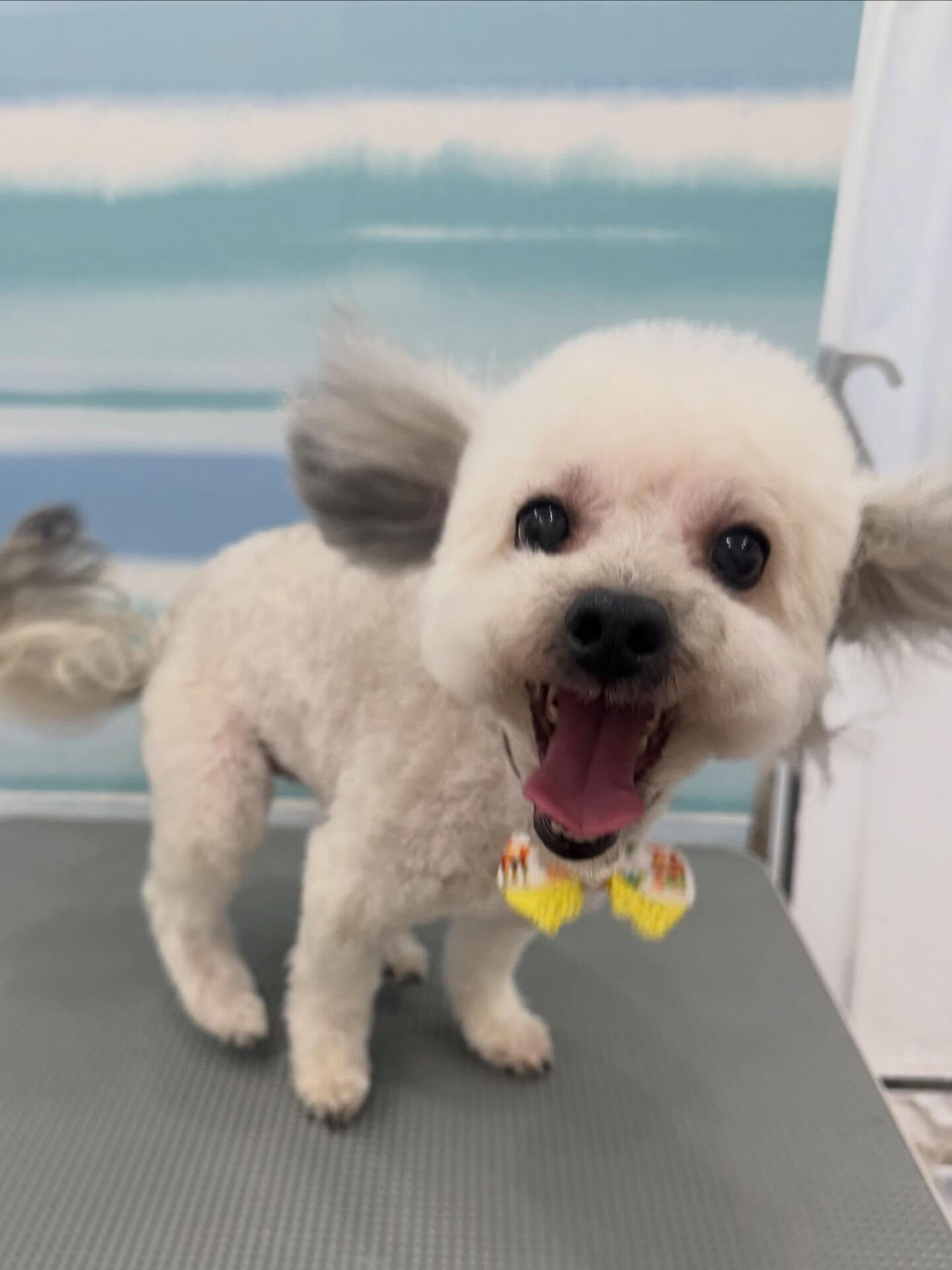 ご来店ありがとうございます✨