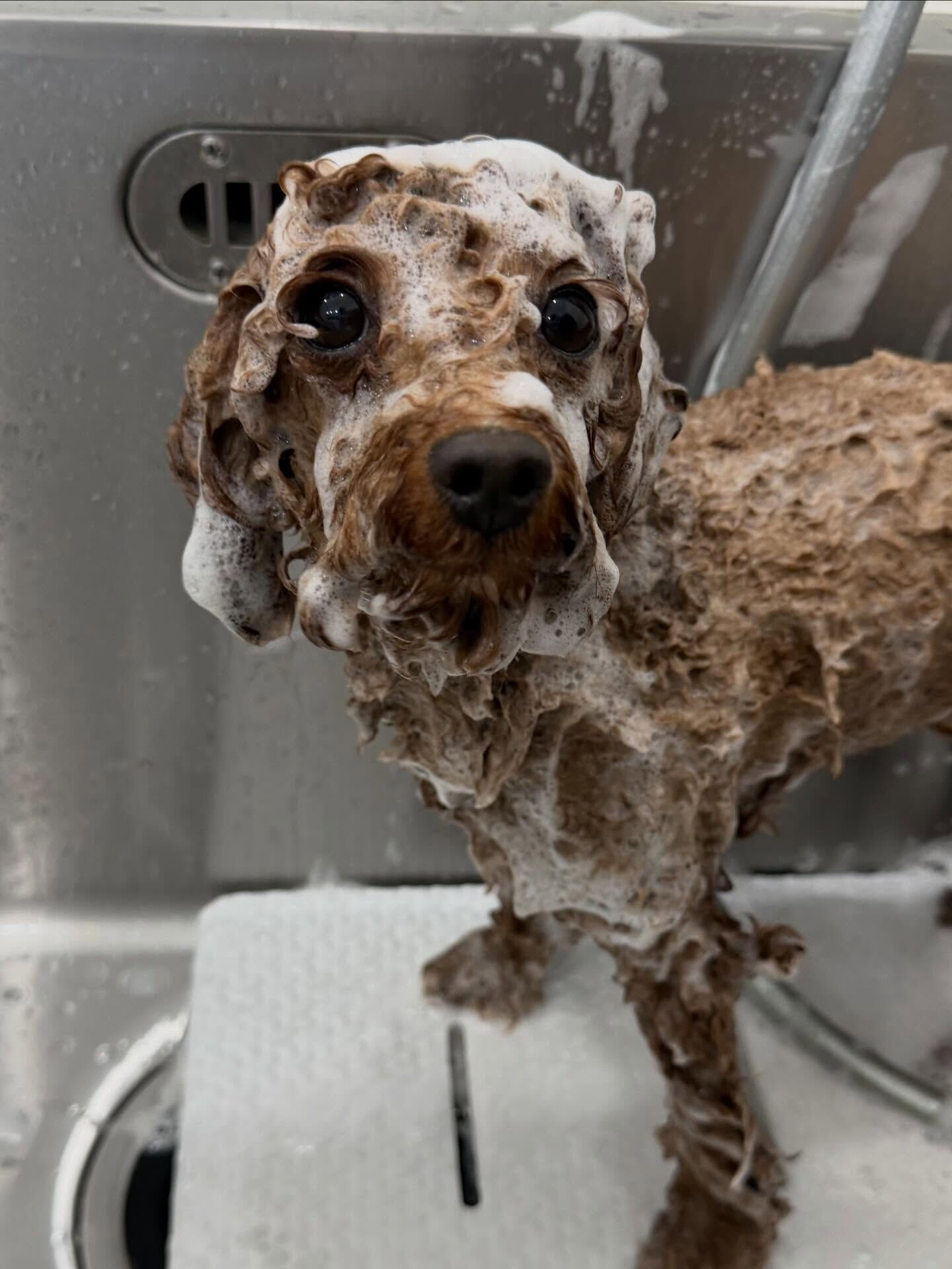 ご来店ありがとうございます✨